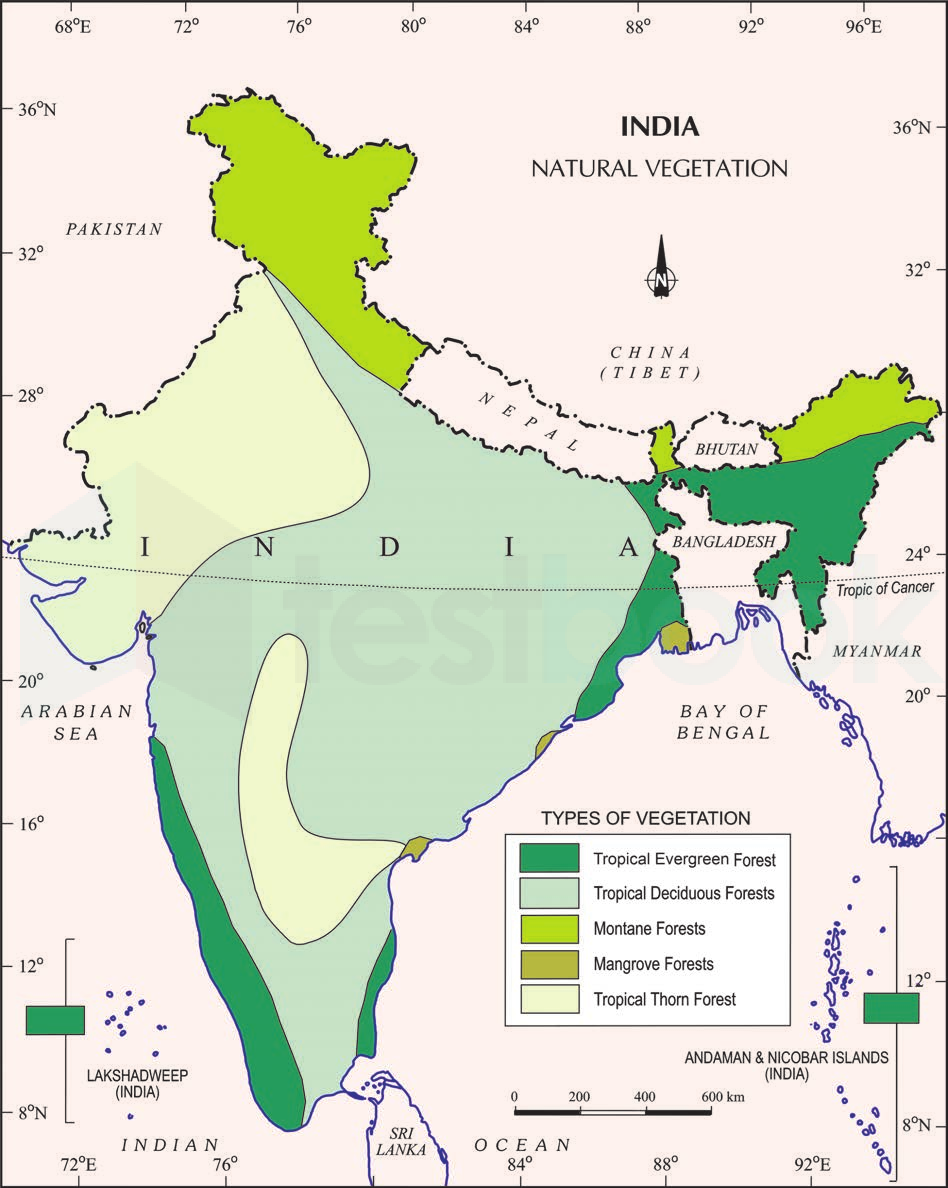 Solved The Natural Vegetation Which Covers The Maximum Geographical   Vegetation Of India 